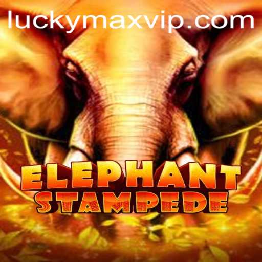 Unveiling ElephantStampede: The Thrilling Adventure Awaits